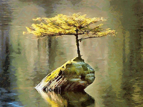Smal Tree on a Rock in the Lake White Modern Wood Framed Art Print with Double Matting by Medeiros, Celito