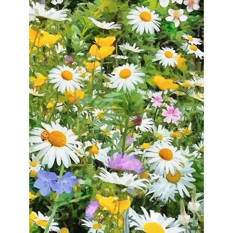 Meadow full of Flowers Gold Ornate Wood Framed Art Print with Double Matting by Medeiros, Celito