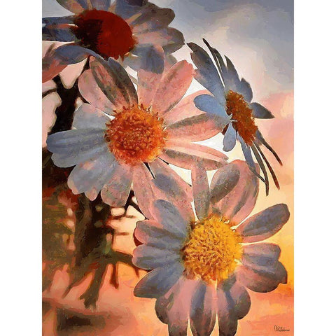 Daisies with the Sun Gold Ornate Wood Framed Art Print with Double Matting by Medeiros, Celito