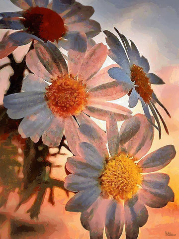 Daisies with the Sun White Modern Wood Framed Art Print with Double Matting by Medeiros, Celito