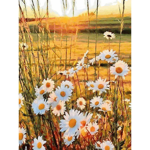 Daisies on the Meadow Gold Ornate Wood Framed Art Print with Double Matting by Medeiros, Celito