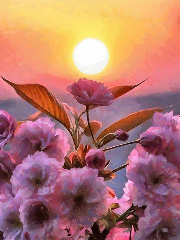 Sunset Behind Pink Flowers White Modern Wood Framed Art Print with Double Matting by Medeiros, Celito