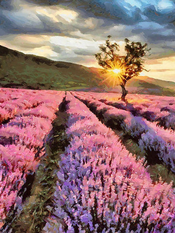 Lavender Field by Sunset Black Ornate Wood Framed Art Print with Double Matting by Medeiros, Celito