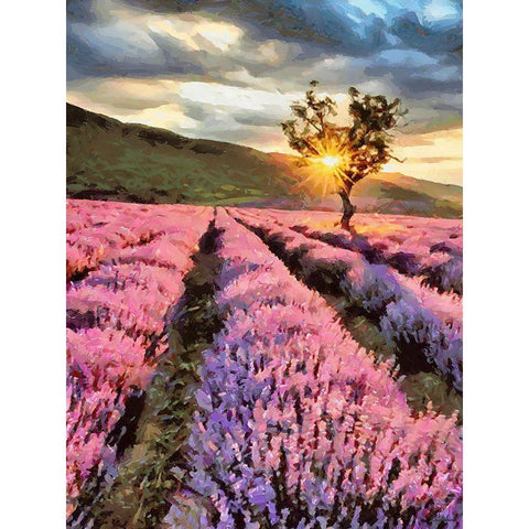Lavender Field by Sunset Black Modern Wood Framed Art Print with Double Matting by Medeiros, Celito