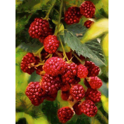 Red Raspberries White Modern Wood Framed Art Print by Medeiros, Celito