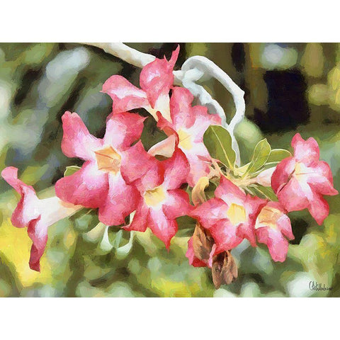 Orchids XXVI Black Modern Wood Framed Art Print by Medeiros, Celito