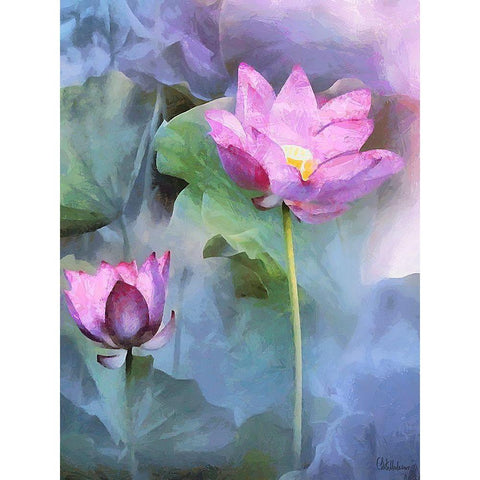 Orchids XXVIII Black Modern Wood Framed Art Print with Double Matting by Medeiros, Celito