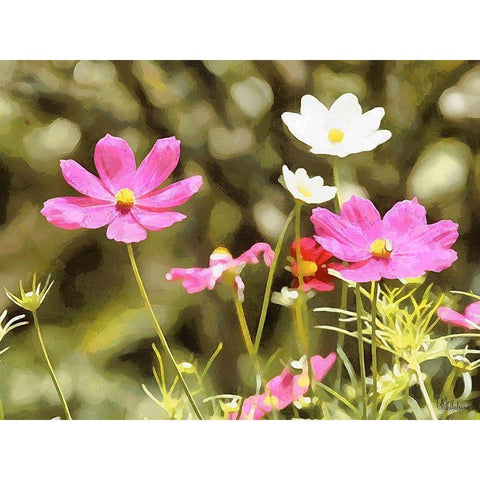 Field Flowers III Black Modern Wood Framed Art Print with Double Matting by Medeiros, Celito