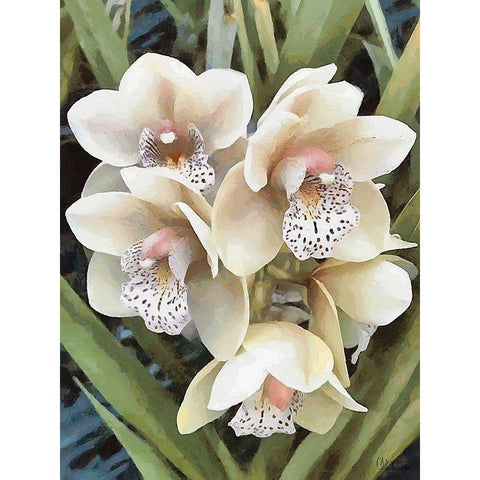 Orchids XXIX Gold Ornate Wood Framed Art Print with Double Matting by Medeiros, Celito