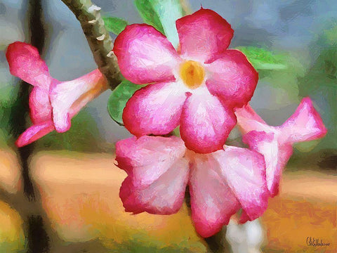 Orchids XXXIII White Modern Wood Framed Art Print with Double Matting by Medeiros, Celito