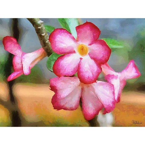 Orchids XXXIII White Modern Wood Framed Art Print by Medeiros, Celito