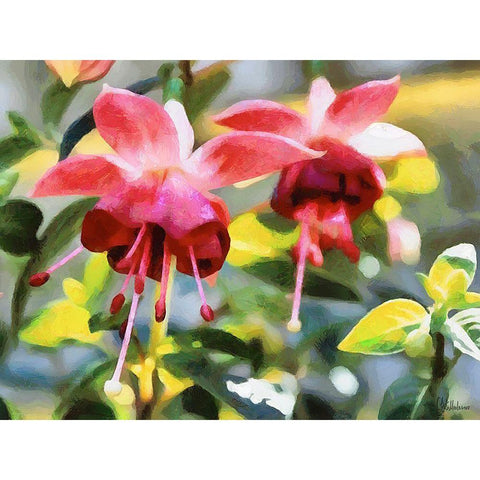 Orchids XXXIV White Modern Wood Framed Art Print by Medeiros, Celito