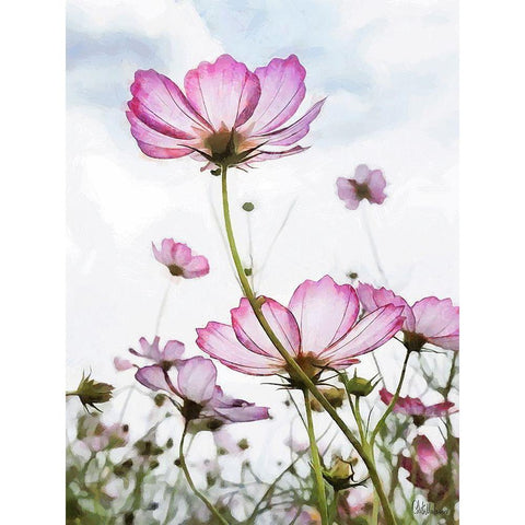 Pink light Flower Black Modern Wood Framed Art Print with Double Matting by Medeiros, Celito