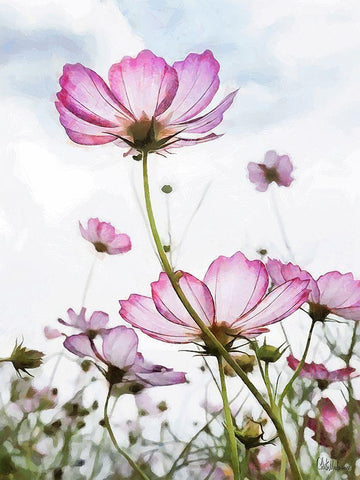 Pink light Flower Black Ornate Wood Framed Art Print with Double Matting by Medeiros, Celito