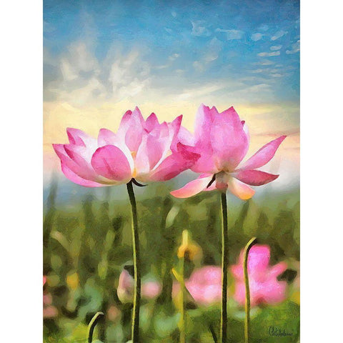 Watter Lilly IV Black Modern Wood Framed Art Print with Double Matting by Medeiros, Celito