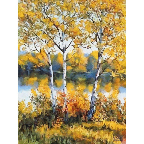 Beautiful Birches Black Modern Wood Framed Art Print by Medeiros, Celito