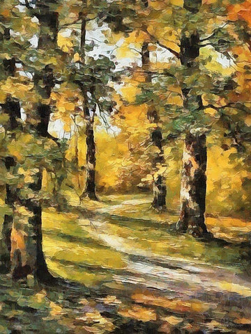 Way in Forest I White Modern Wood Framed Art Print with Double Matting by Medeiros, Celito