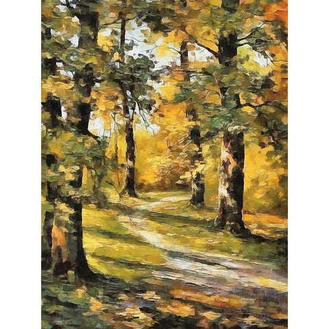 Way in Forest I Black Modern Wood Framed Art Print by Medeiros, Celito