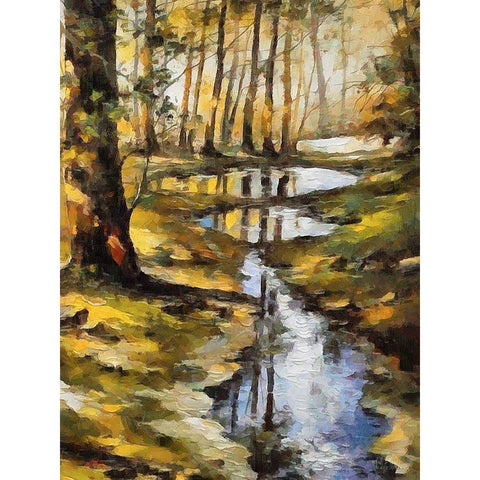 Small Stream in Forest Black Modern Wood Framed Art Print with Double Matting by Medeiros, Celito