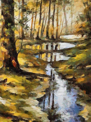 Small Stream in Forest Black Ornate Wood Framed Art Print with Double Matting by Medeiros, Celito