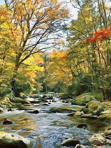 River in the Forest III Black Ornate Wood Framed Art Print with Double Matting by Medeiros, Celito