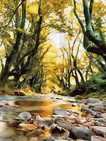 River in the Forest IV White Modern Wood Framed Art Print with Double Matting by Medeiros, Celito