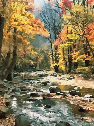 River in the Forest V Black Ornate Wood Framed Art Print with Double Matting by Medeiros, Celito