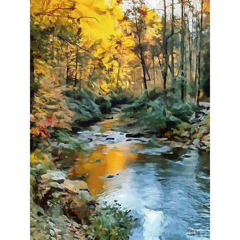 River in the Forest VI Black Modern Wood Framed Art Print by Medeiros, Celito