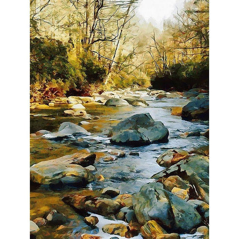 River in the Forest VII Black Modern Wood Framed Art Print by Medeiros, Celito