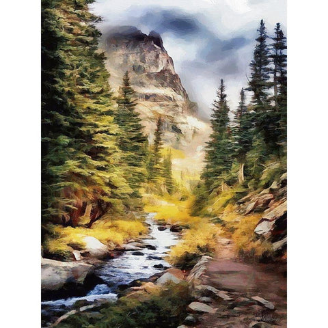 River in the Mountains I Black Modern Wood Framed Art Print with Double Matting by Medeiros, Celito