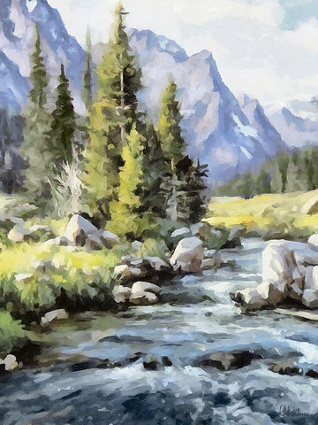 River in the Mountains II Black Ornate Wood Framed Art Print with Double Matting by Medeiros, Celito