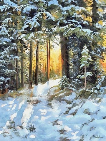 Sunny Day in Winter I White Modern Wood Framed Art Print with Double Matting by Medeiros, Celito