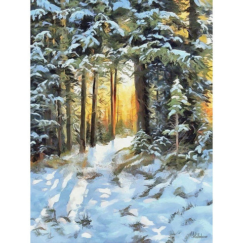 Sunny Day in Winter I Black Modern Wood Framed Art Print by Medeiros, Celito