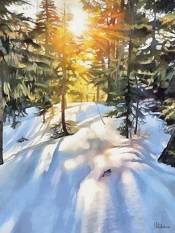 Sunny Day in Winter II Black Ornate Wood Framed Art Print with Double Matting by Medeiros, Celito