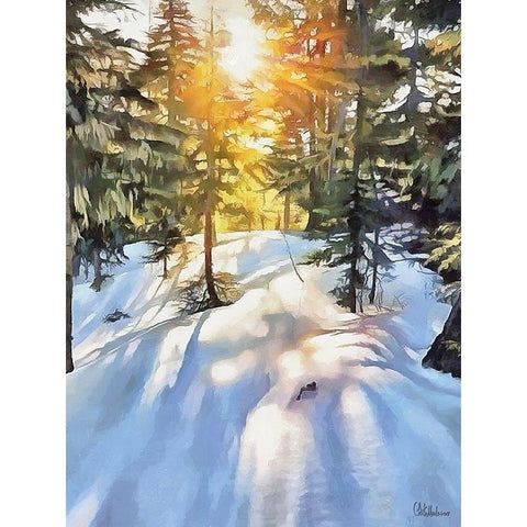 Sunny Day in Winter II Black Modern Wood Framed Art Print by Medeiros, Celito