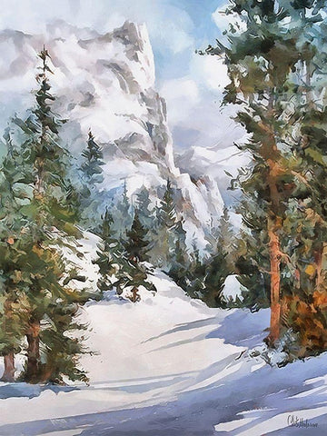 Sunny Day in Winter III White Modern Wood Framed Art Print with Double Matting by Medeiros, Celito