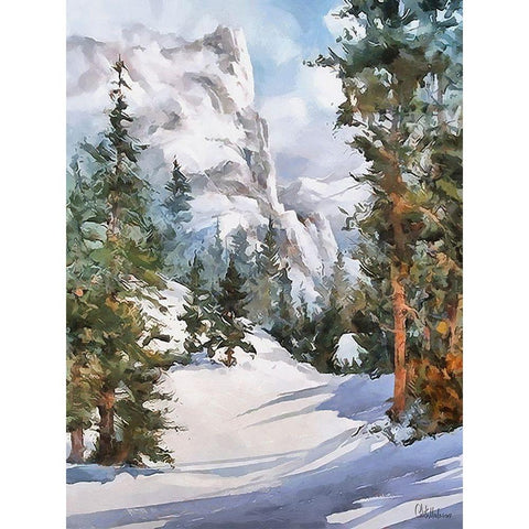 Sunny Day in Winter III Black Modern Wood Framed Art Print by Medeiros, Celito