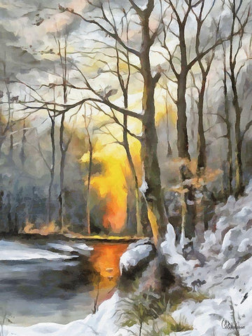 Sunny Day in Winter V Black Ornate Wood Framed Art Print with Double Matting by Medeiros, Celito
