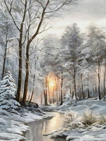 Sunny Day in Winter VI Black Ornate Wood Framed Art Print with Double Matting by Medeiros, Celito