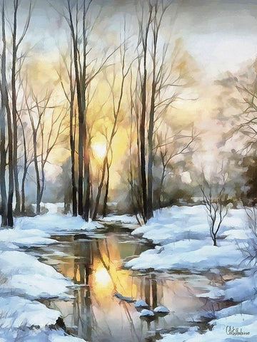 Sunny Day in Winter VII Black Ornate Wood Framed Art Print with Double Matting by Medeiros, Celito