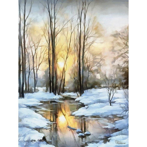 Sunny Day in Winter VII Black Modern Wood Framed Art Print by Medeiros, Celito