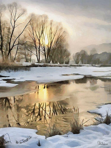 Sunny Day in Winter VIII White Modern Wood Framed Art Print with Double Matting by Medeiros, Celito