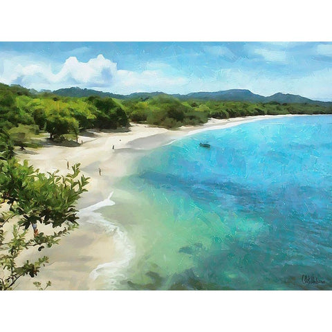 Tropical Bay II Black Modern Wood Framed Art Print with Double Matting by Medeiros, Celito