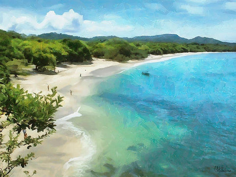 Tropical Bay II Black Ornate Wood Framed Art Print with Double Matting by Medeiros, Celito