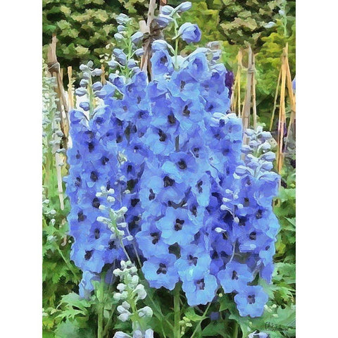 I like Flowers I Gold Ornate Wood Framed Art Print with Double Matting by Medeiros, Celito