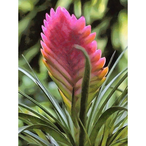 I like Flowers II Black Modern Wood Framed Art Print with Double Matting by Medeiros, Celito