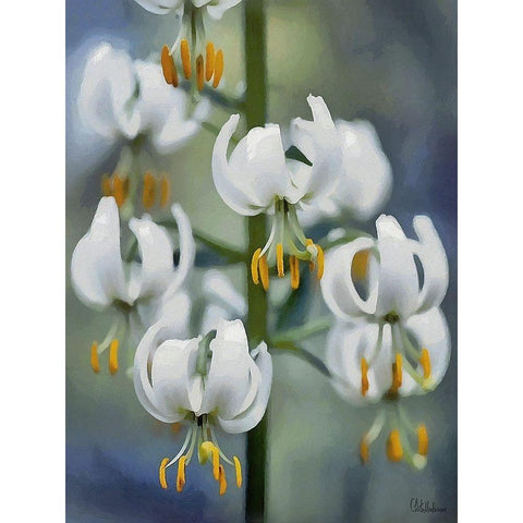 I like Flowers IV Black Modern Wood Framed Art Print with Double Matting by Medeiros, Celito