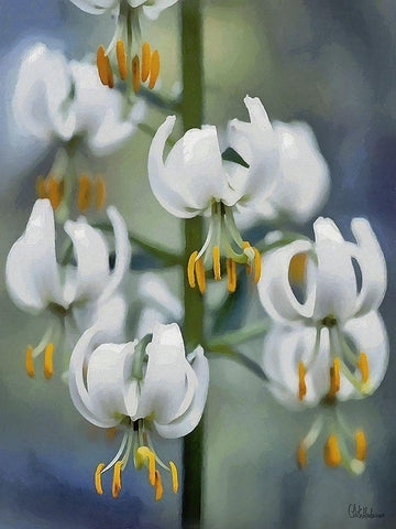 I like Flowers IV White Modern Wood Framed Art Print with Double Matting by Medeiros, Celito