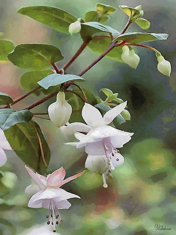 I like Flowers V White Modern Wood Framed Art Print with Double Matting by Medeiros, Celito