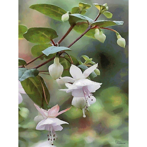 I like Flowers V Black Modern Wood Framed Art Print with Double Matting by Medeiros, Celito